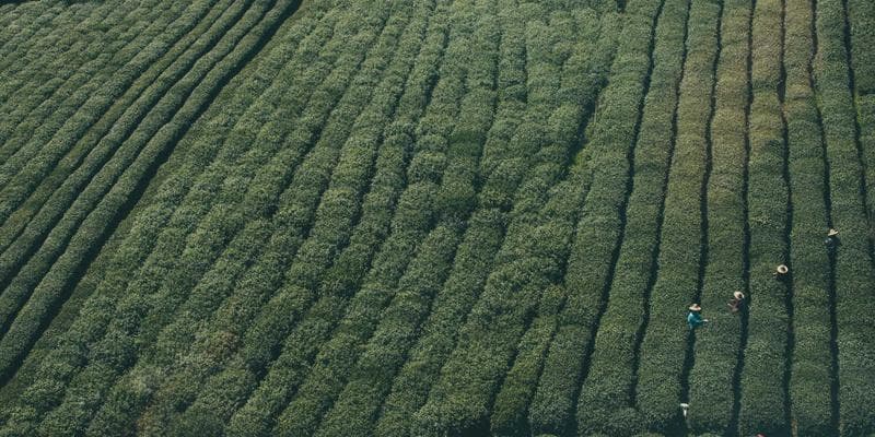 Dividendová sezóna začíná, komu se vyplatí investovat