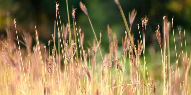 Energetická krize tlačí ceny vzhůru