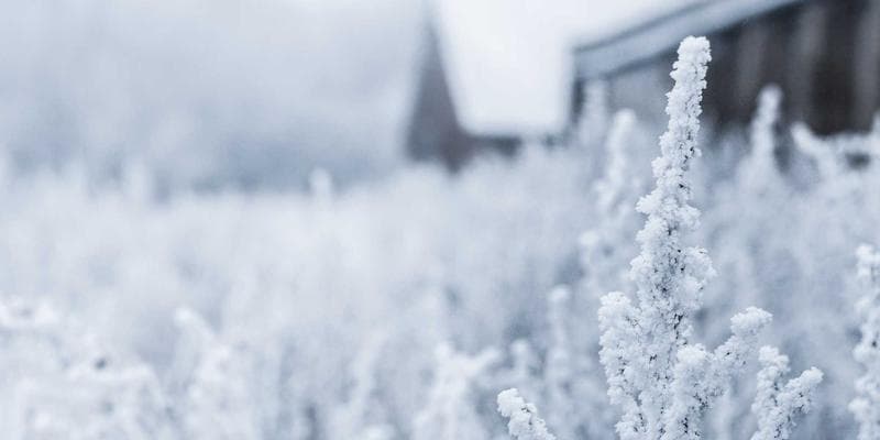 IPO společnosti Allegro láká investory