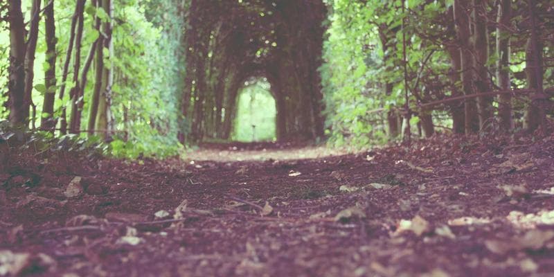 Koruna posílila vůči euru na 24,50 CZK/EUR