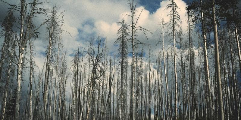 IPO společnosti Allegro láká investory