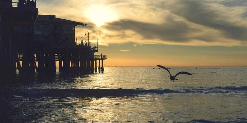 Akcie ČEZ vzrostly na nejvyšší úroveň za poslední měsíc