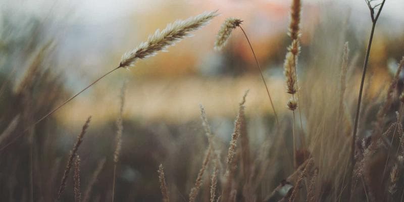 Cena ropy Brent klesla pod 80 dolarů za barel