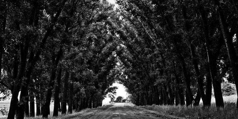 ECB signalizuje další zvyšování sazeb