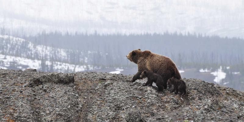 Energetická krize tlačí ceny vzhůru