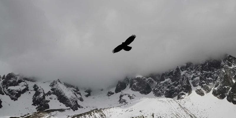 Čínská ekonomika zpomaluje více než se čekalo
