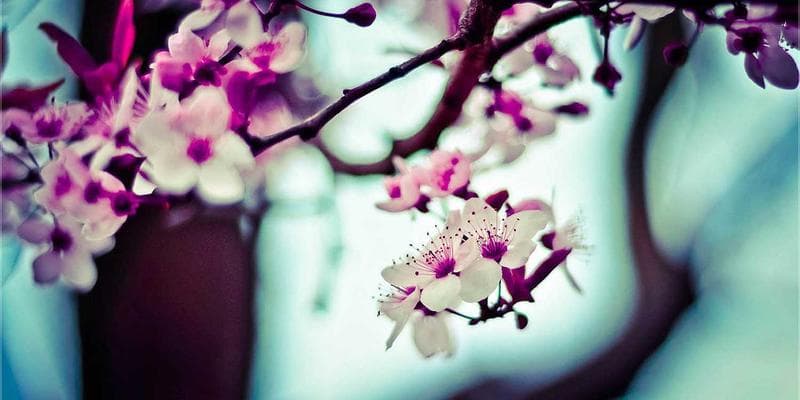 Trh s nemovitostmi vykazuje známky ochlazení