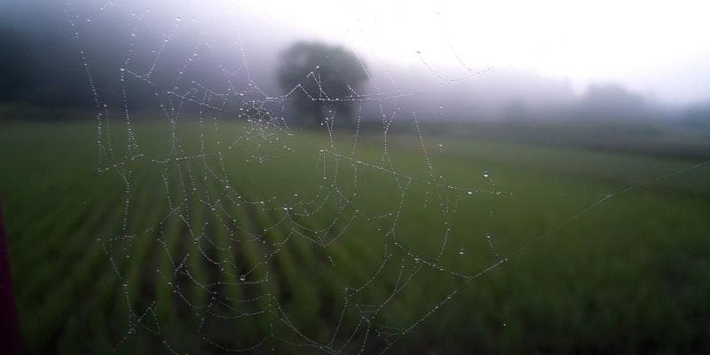 Koruna posílila vůči euru na 24,50 CZK/EUR