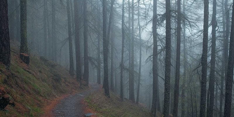 Fed ponechává úrokové sazby beze změny