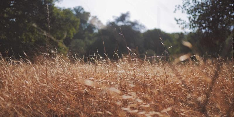 Bitcoiny překonaly hranici 45 000 dolarů