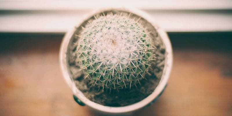 Fed ponechává úrokové sazby beze změny