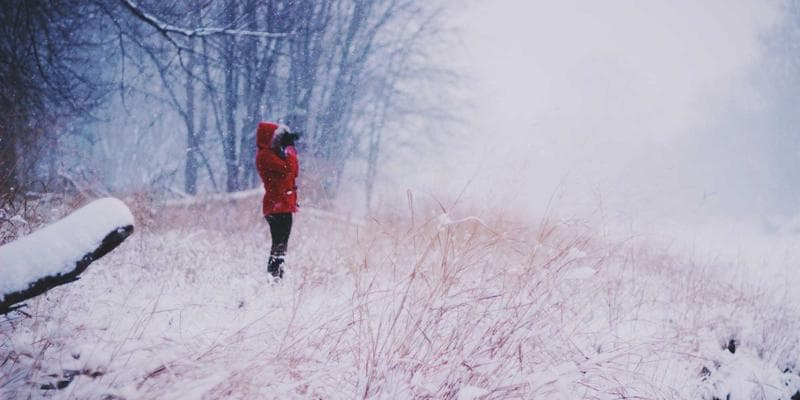 Polská zlotá zaznamenala prudký pád