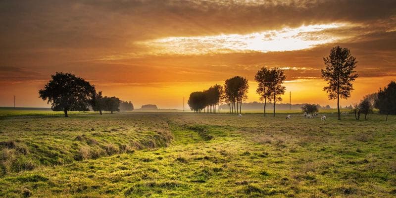 Dividendová sezóna začíná, komu se vyplatí investovat