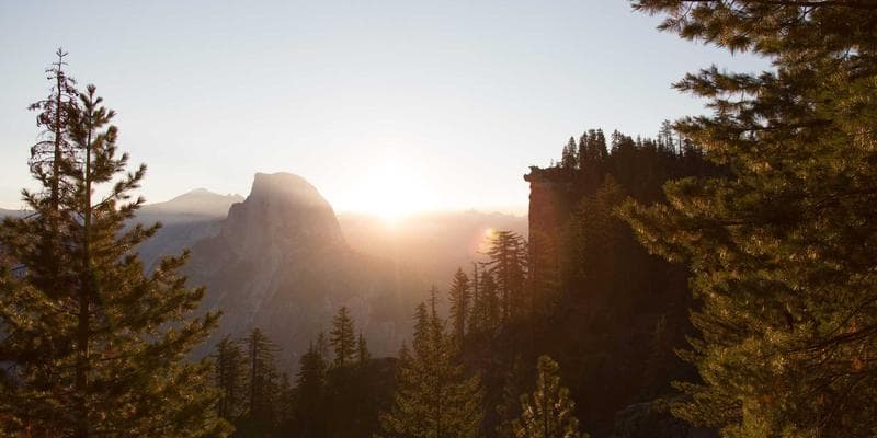 Dividendová sezóna začíná, komu se vyplatí investovat
