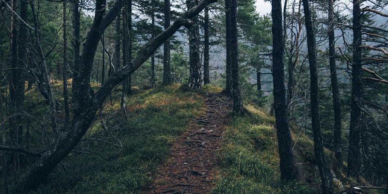 Dividendová sezóna začíná, komu se vyplatí investovat