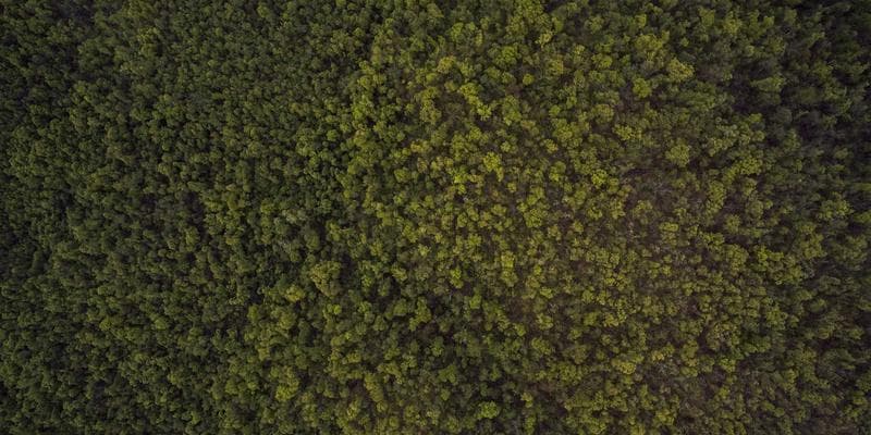 Deutsche Bank zvyšuje cílovou cenu pro Monetu