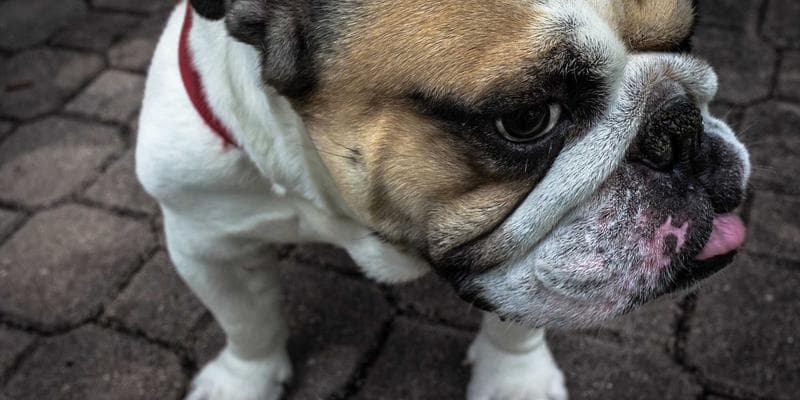 Trh s nemovitostmi vykazuje známky ochlazení