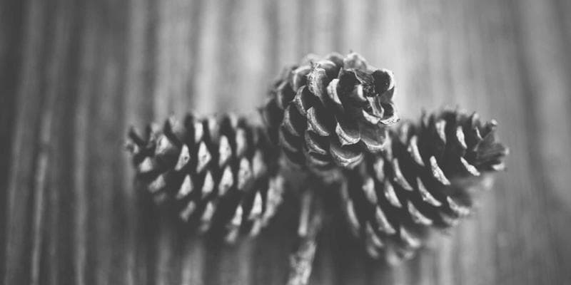 Analytici doporučují nákup akcií Erste Bank