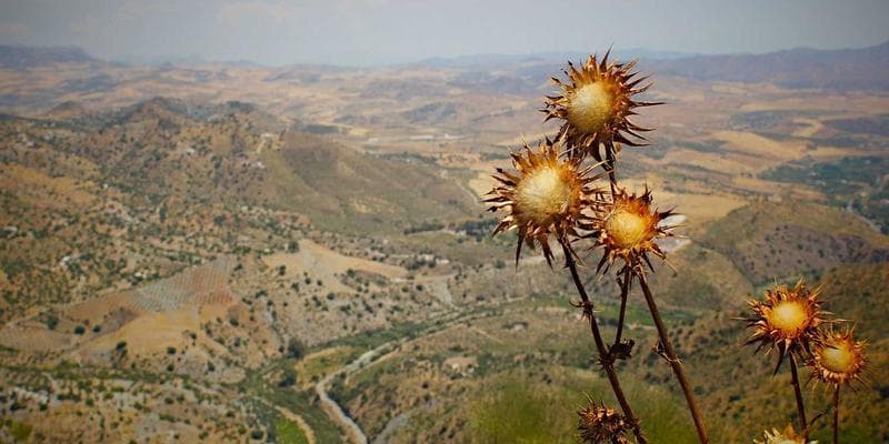Čínská ekonomika zpomaluje více než se čekalo