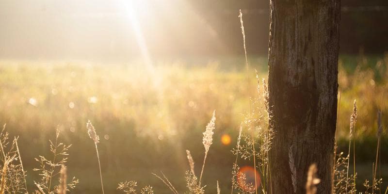 IPO společnosti Allegro láká investory