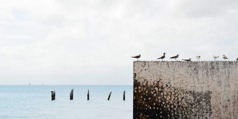 Koruna posílila vůči euru na 24,50 CZK/EUR