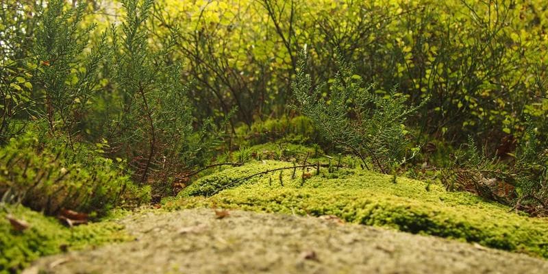 Inflace v eurozóně klesla na 2,9 procenta