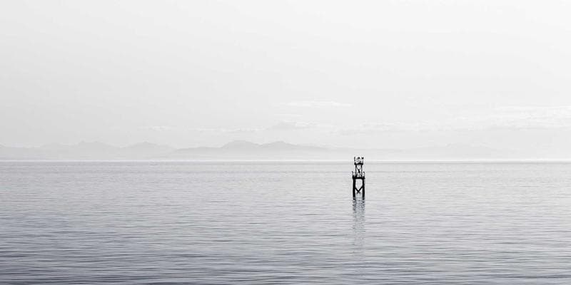 Polská zlotá zaznamenala prudký pád