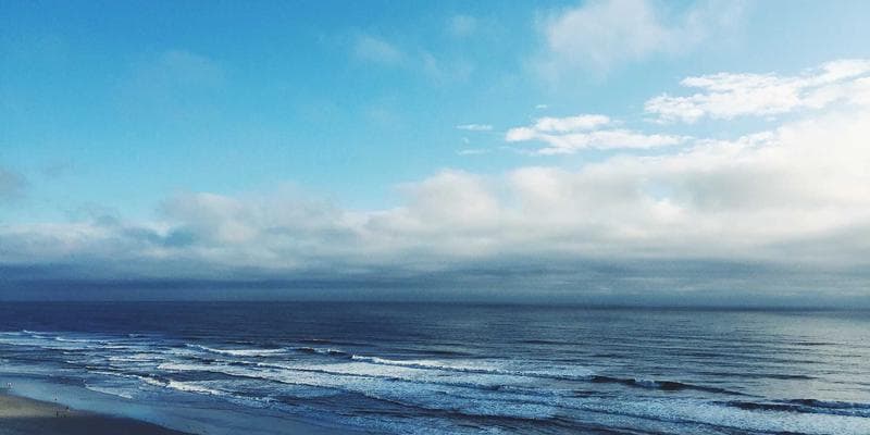 Koruna posílila vůči euru na 24,50 CZK/EUR