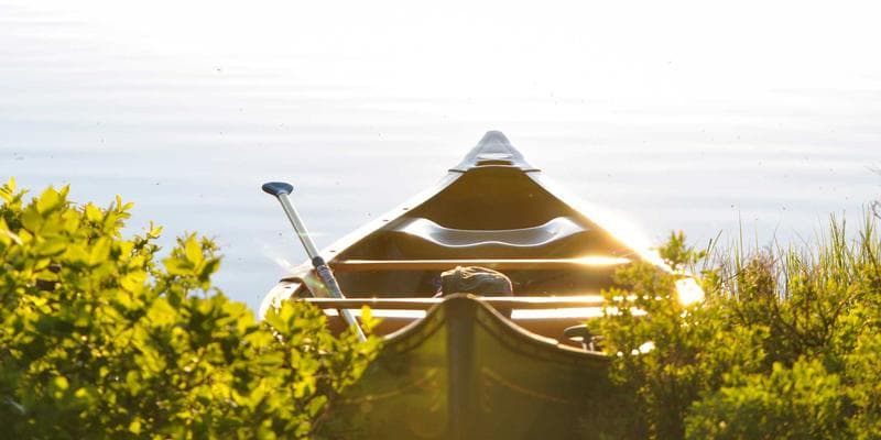 Deutsche Bank zvyšuje cílovou cenu pro Monetu