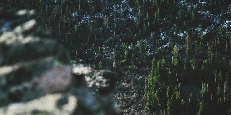 Výsledky hospodaření: KB překonala očekávání