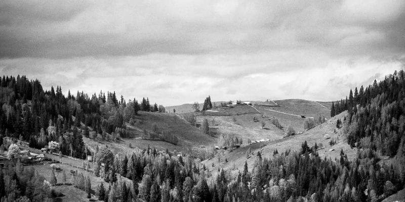 Polská zlotá zaznamenala prudký pád