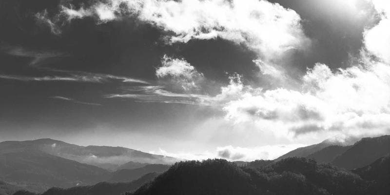 ECB signalizuje další zvyšování sazeb