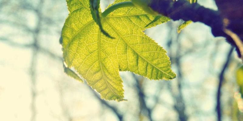 Fed ponechává úrokové sazby beze změny