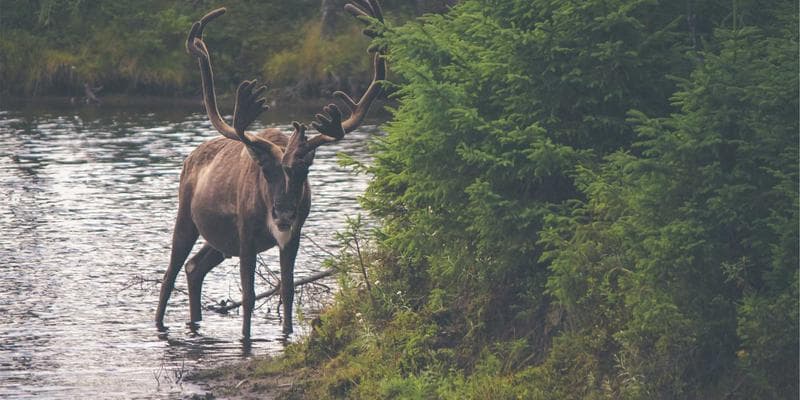 Trh s nemovitostmi vykazuje známky ochlazení