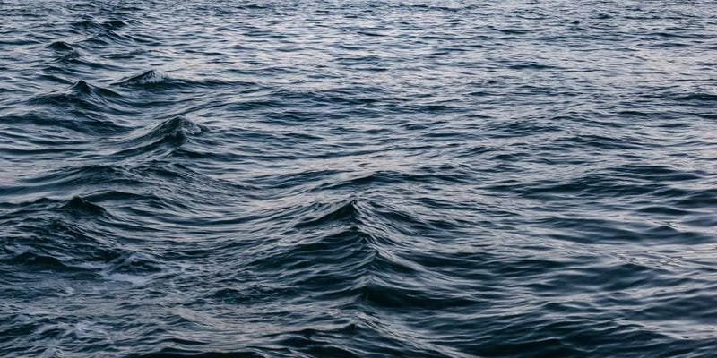 IPO společnosti Allegro láká investory