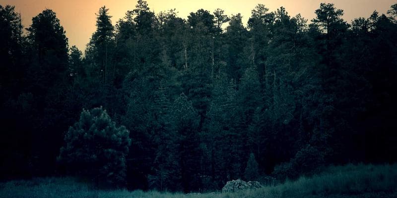 Výsledky hospodaření: KB překonala očekávání