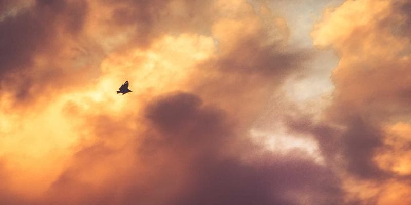 Akcie ČEZ vzrostly na nejvyšší úroveň za poslední měsíc