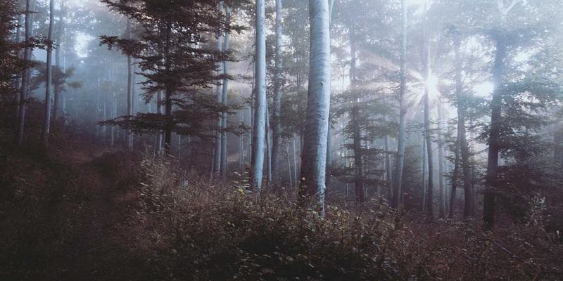 Trh s nemovitostmi vykazuje známky ochlazení