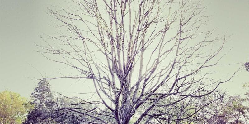 Index PX dosáhl ročního maxima