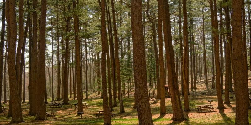 Koruna posílila vůči euru na 24,50 CZK/EUR