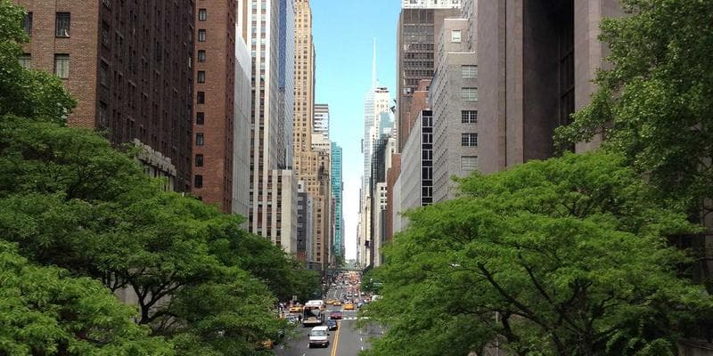 Technologické akcie vedou rally na Wall Street