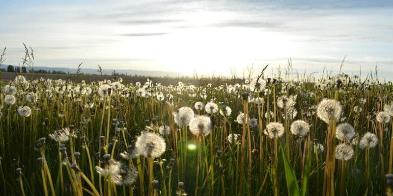 Technologické akcie vedou rally na Wall Street