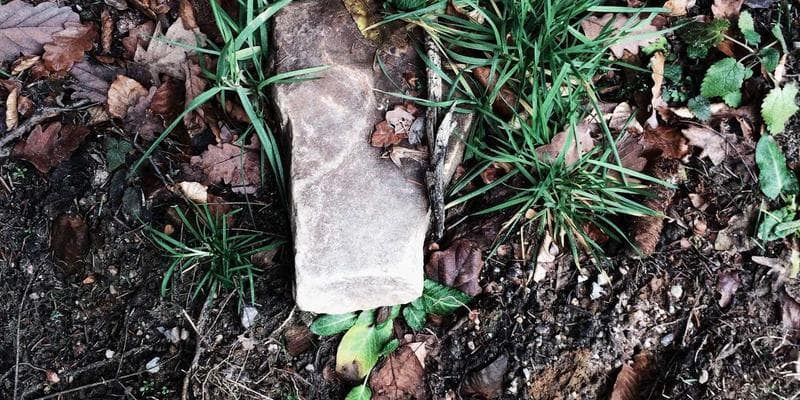 Fed ponechává úrokové sazby beze změny