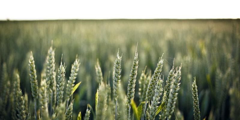 Výsledky hospodaření: KB překonala očekávání