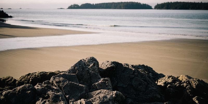 Dividendová sezóna začíná, komu se vyplatí investovat