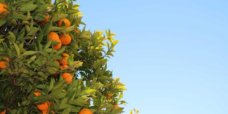 Inflace v eurozóně klesla na 2,9 procenta