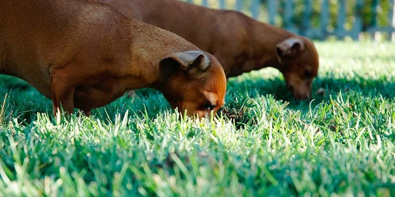 Výsledky hospodaření: KB překonala očekávání