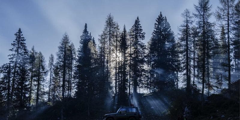 Zlatá horečka pokračuje, cena překonala 2000 USD