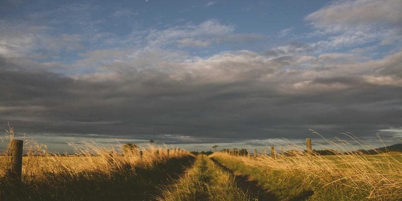 Cena ropy Brent klesla pod 80 dolarů za barel