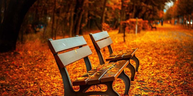 Výsledky hospodaření: KB překonala očekávání